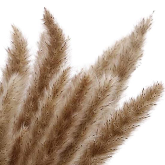 30 шт. сушеные растения, пушистые, привлекательные, 2 цвета, отличные искусственные сушеные травяные растения для домашнего использования