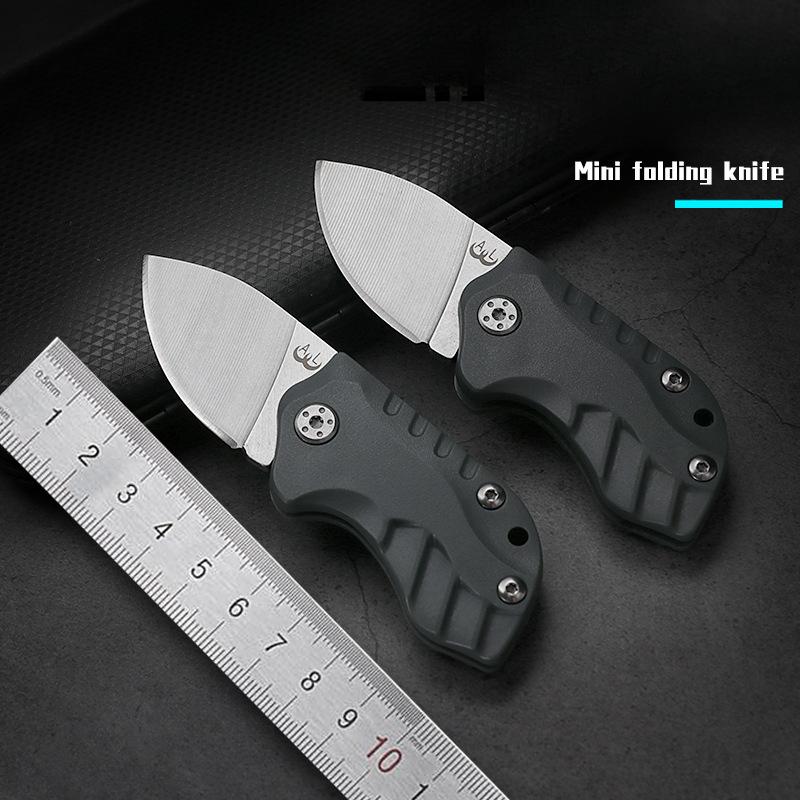 Mini Knife Folding Knife Portable Keychain Portable Knife Cut Fruit Express Outdoor Stainless Steel Knife.