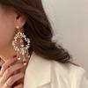 Серьги с вырезами для женщин 2024 Темпераментная бахрома Преувеличенные серьги-капли Длинные Личность Свадебный циркон Подарок для девушки