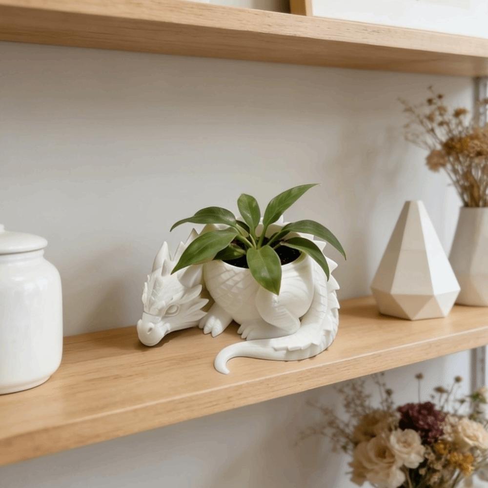 Plastic Succulent Planter Growing Pots Flower Container Dragon Shaped Plant Pot for Desktop Decor