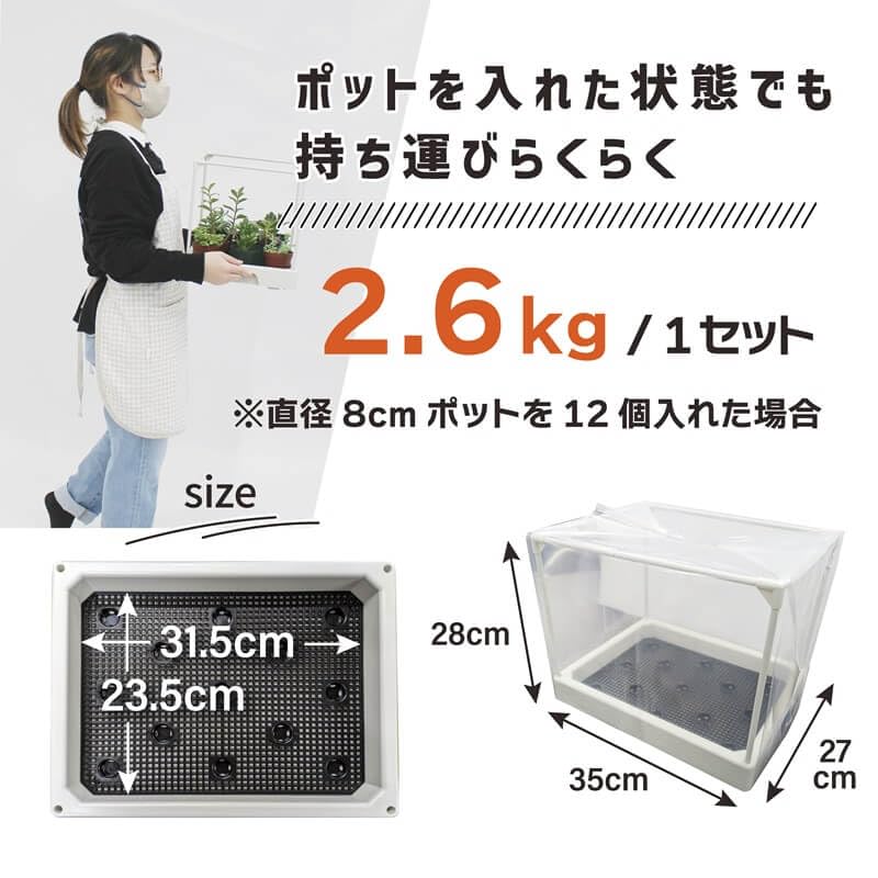 Теплица для суккулентных растений DAIM 35x28x29 см, белая