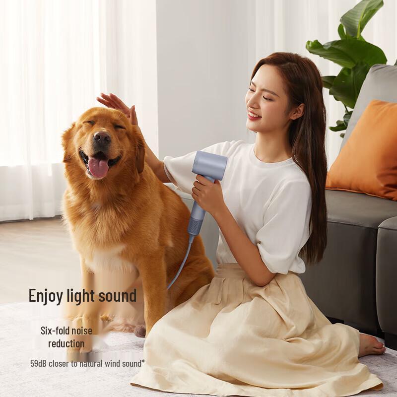 Laifen LF03 High-Speed Hair Dryer CN plug (adapter included)