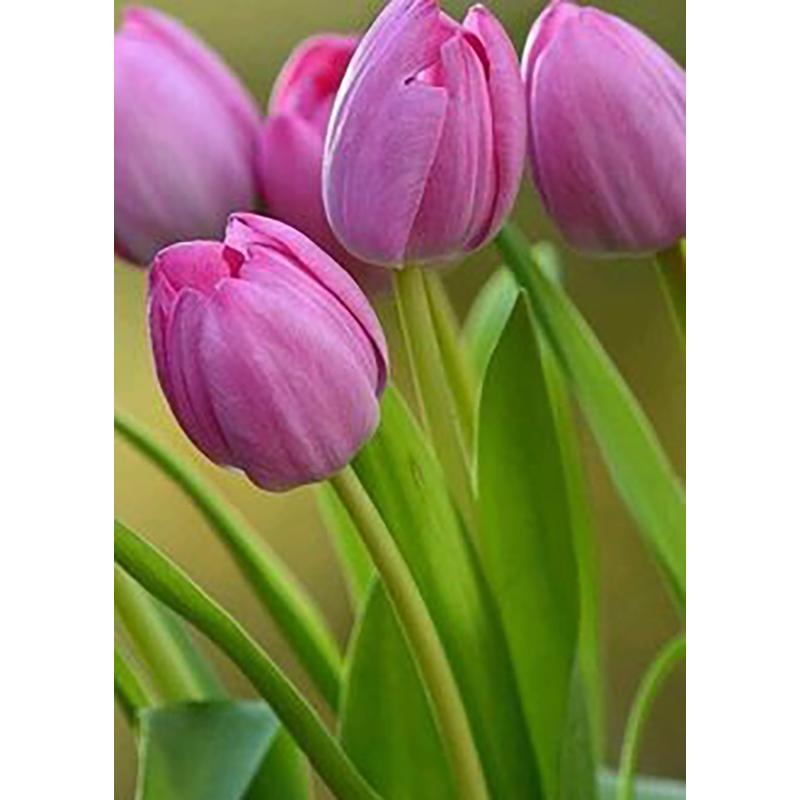 DIY 5D полный круглый дрель набор алмазов для рисования красивый цветок алмазная вышивка набор крестиков домашний декор подарок настенное искусство