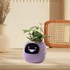 Smart Pet Planter ,Robot Planter, Intelligent Flowerpots for Plant Lovers