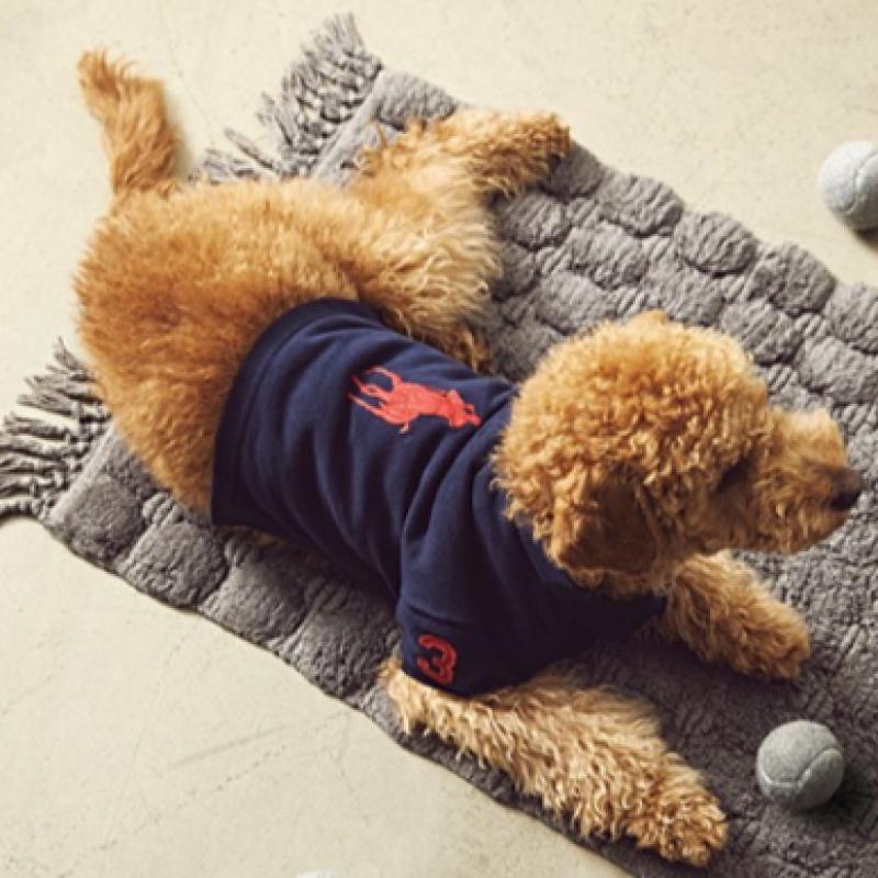 Ralph Lauren Big Pony Mesh Dog Polo Shirt Hmpopap56320012001
