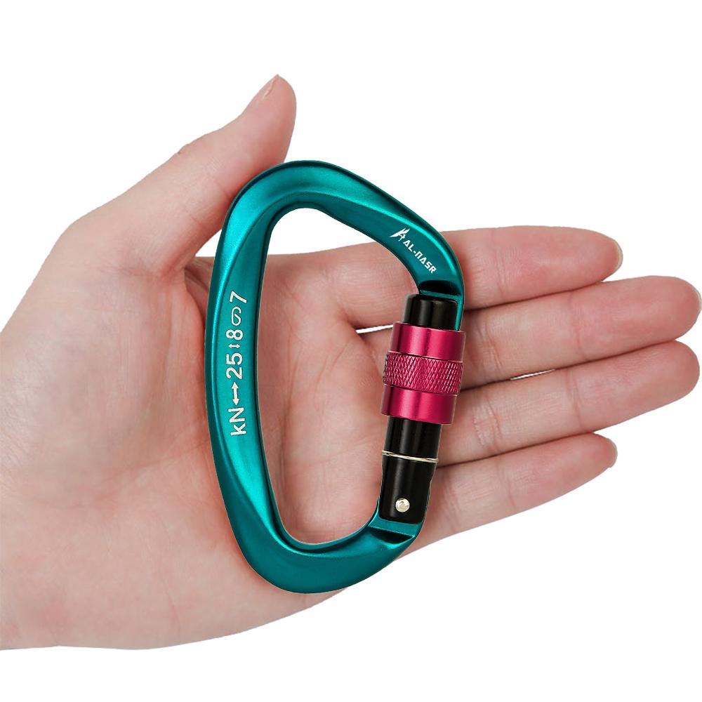 25KN Carabiner Screw Locking Gate Carabiner Heavy Duty D-shape Latch Hook