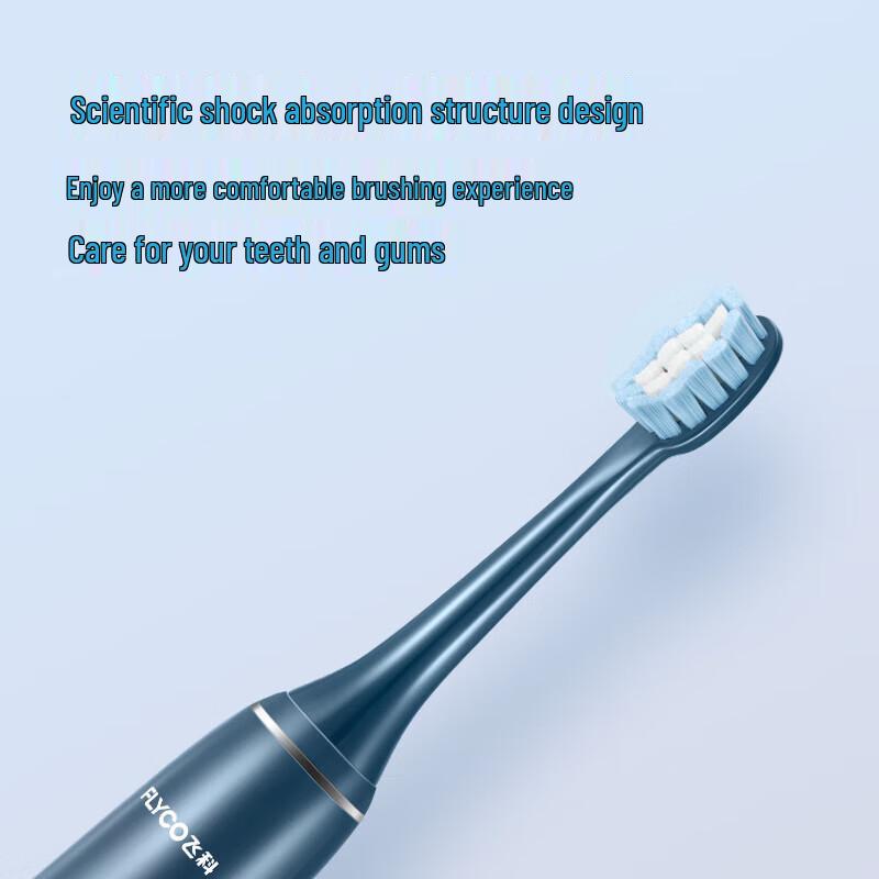 FLYCO Smart Ultrasonic Electric Toothbrush