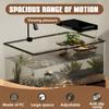 PC Turtle Basking Platform with Lid and Nonslip Ramp Heat Resistant Basking Platform for Aquatic Turtles Transparent 20x14x14cm