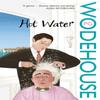 Hot Water by P.G. Wodehouse Paperback Book 9780099514152