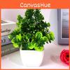Potted Chrysanthemum Plant Decor For Tabletop Display And Giving Gift
