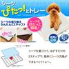 Iris Ohyama Dog Toilet Sheet, Fitted Tray, Double Wide, White, P-SPTD
