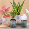 Self Watering Flowerpot Indoor Hydroponic Plants Succulent Pot Mini Planter Pots Tabletop Home Bonsai Flower Pot Decor