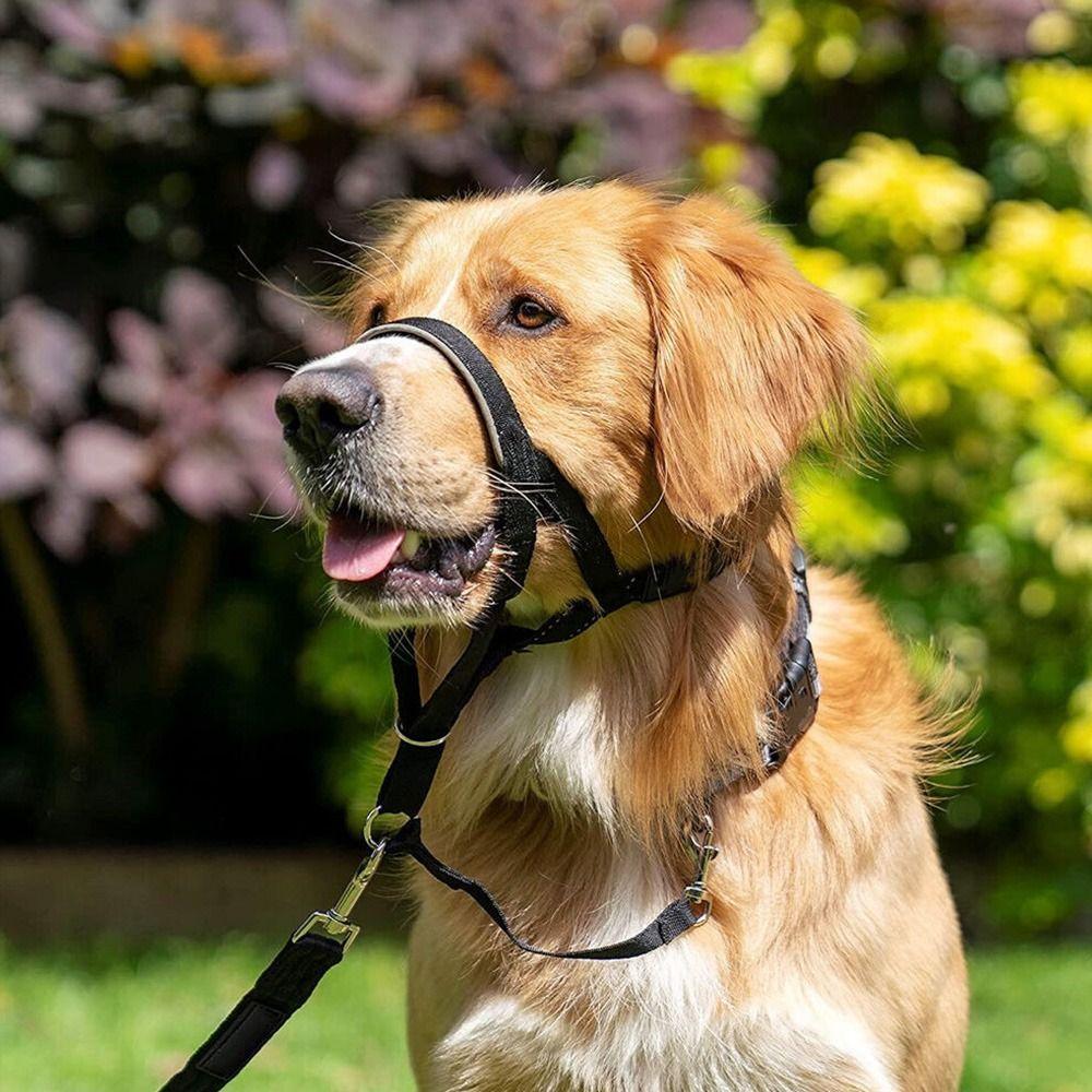 Adjustable Non Pull Training Leash Leader Harness Dog Head Collar Dog Halter Dog Muzzle