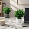 Indoor Green Plant Pots Self?Watering Planter Pot, Thick Transparent Flower Embossed Durable Holders Decorative for Hydroponic Houseplants