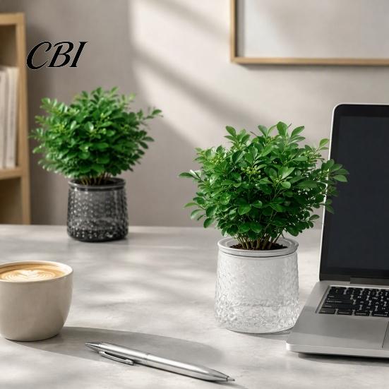Indoor Green Plant Pots Self?Watering Planter Pot, Thick Transparent Flower Embossed Durable Holders Decorative for Hydroponic Houseplants
