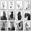 Black and White Horse Portrait Poster Print Canvas Painting Horses Running Animal Wall Art Picture for Farmhouse Room Home Decor