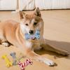 Веревочная игрушка для собак в форме кости, жевательная игрушка для собак для смены зубов, интерактивная игра, хлопковая веревка, игрушка для домашних животных для маленьких и средних собак
