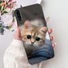 Чехол для Samsung Galaxy A90 5G SM-A908B Крутой Чехол с Рисунком Дракона Мягкий Тонкий Чехол для Телефона Для Samsung A90 A 90 5G Задняя Крышка Fundas