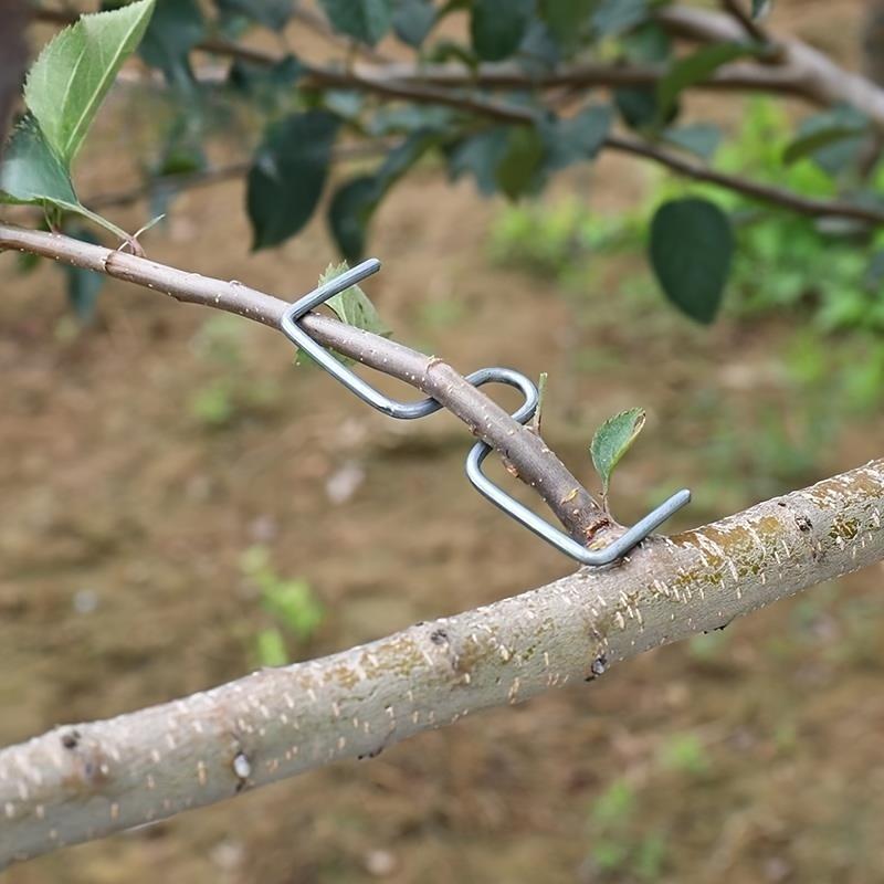 [50 шт. Металлический отгибатель ветвей] 50 шт. Прочный металлический инструмент для отгибания садовых ветвей - Многоразовый отгибатель ветвей фруктовых деревьев для формирования и тренировки деревьев