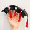 2pcs Multifunction Graduation Tassel Hat Clip Dollhouse Doctoral Cap Clip  Graduation Gifts