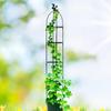 Rose Tomato Balcony Gardening Support Rod Planting Rack Climbing Vine Rack Flower Pot Holder