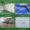 Jiangce 40 sqm Outdoor Frame Tent