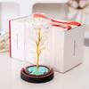 Small New Glass Dome Flower Artificial LED Galaxy Rose for Christmas Business Promotion Birthday Gift Box Package for Boyfriend