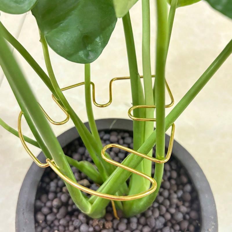 Reusable Metal Climbing Plant Stems Support Stake, Unique Design Plant Stake, Garden Decor, Flower Pot Decor, Plant Trellis, Ideal for Healthy Growth