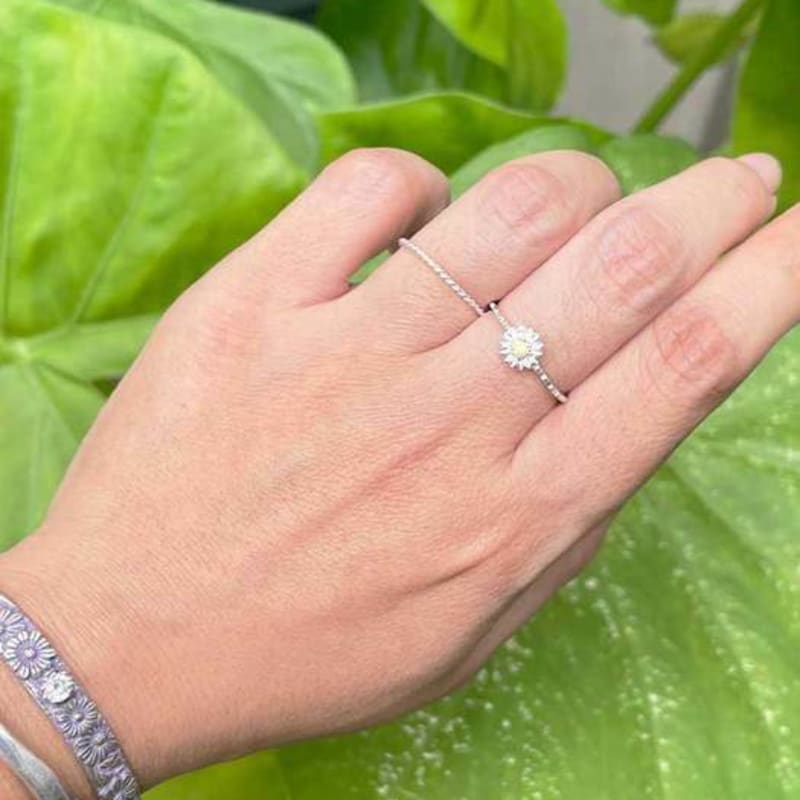 Ollia Silver 925 Daisy Layered Set Silver Ring