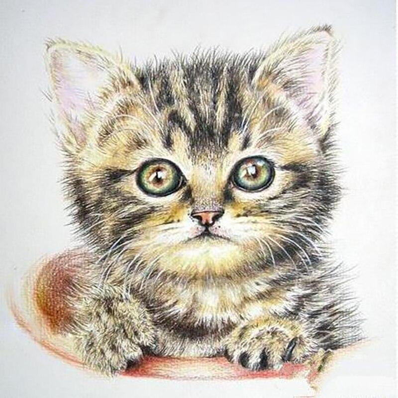 Новый 5D DIY алмазная живопись животные стразы вышивка кошка вышивка крестом полная круглая дрель ручной работы искусство домашний декор подарок