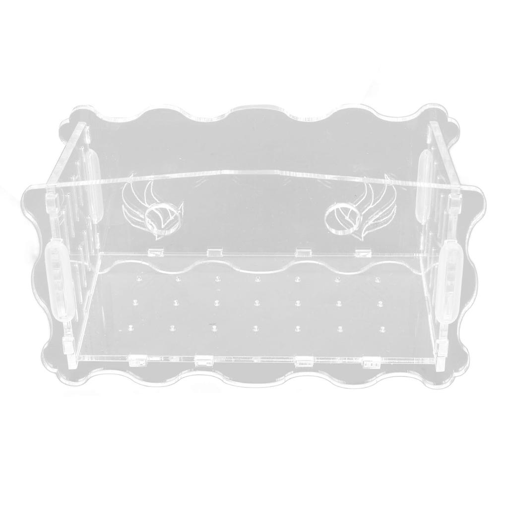   Plant Cup Acrylic Transparent Permeable Hole   Safe   Plant Pot with Suction Cup for Fish  