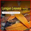 Longan Leaf Turtle Aquarium Conditioner: Prevents Rot and Enhances Water Quality