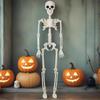 Halloween Human Skeleton 40Cm Movable Skeleton Human Skeleton Halloween Horror Decorations Haunted House Horror Props