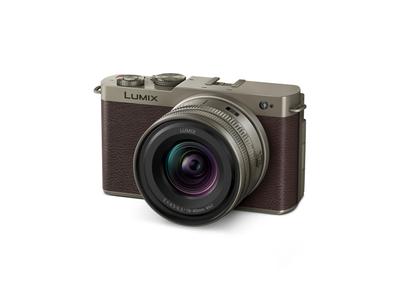 Panasonic Беззеркальная камера Lumix Объектив с зумом Титановый золотой DC-S9N-N Полнокадровый широкоугольный комплект,