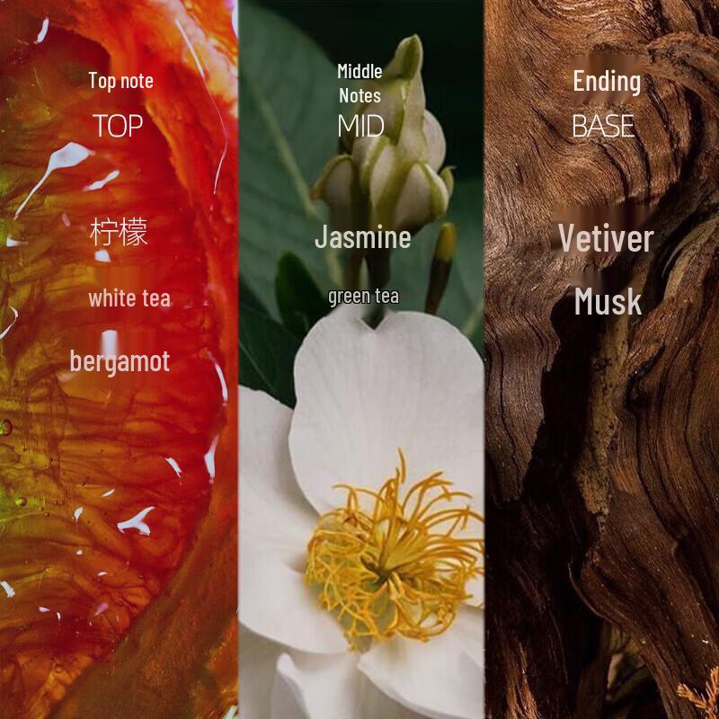 Ocean Supreme Exfoliating Oil Control Scented Energy Shower Gel