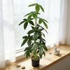 Cross-Border Traveler's Palm: Artificial Banana Tree for Living Room Window Corner Decoration