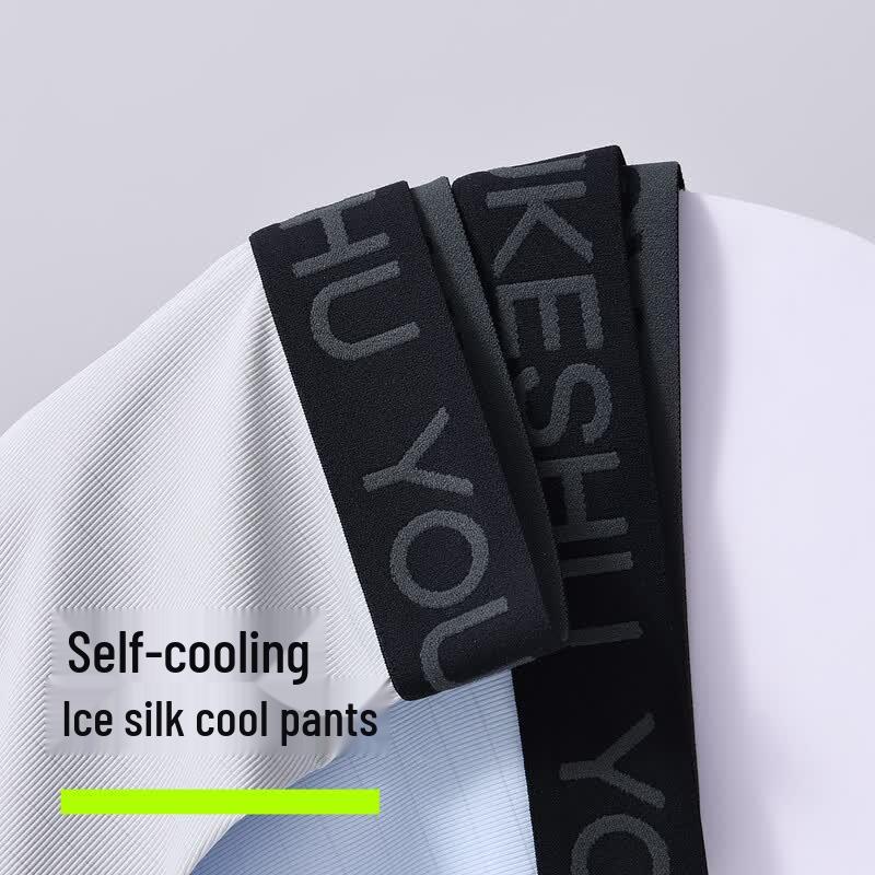 Youkeshu Men's Ice Silk Boxer Briefs