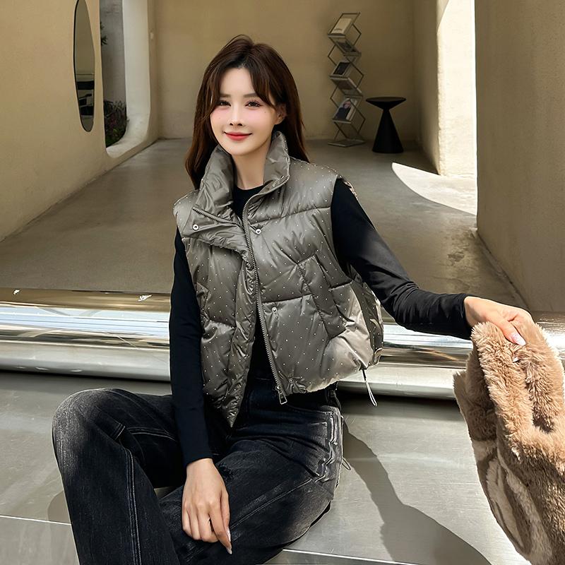 Женская осенне-зимняя однотонная утолщенная верхняя одежда с хлопковой подкладкой и воротником-стойкой, теплая куртка без рукавов, пальто, жилет