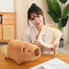 Capybara Plush Toy Toast Bee Lion Yellow Pink Flower Plushie Stuffed Animal Doll Pillow Home Office Bedroom Decoration Kids