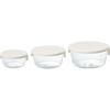 HARIO Heat-resistant Glass Storage Container White Made In Japan SYTN-2518-OW Set of 3