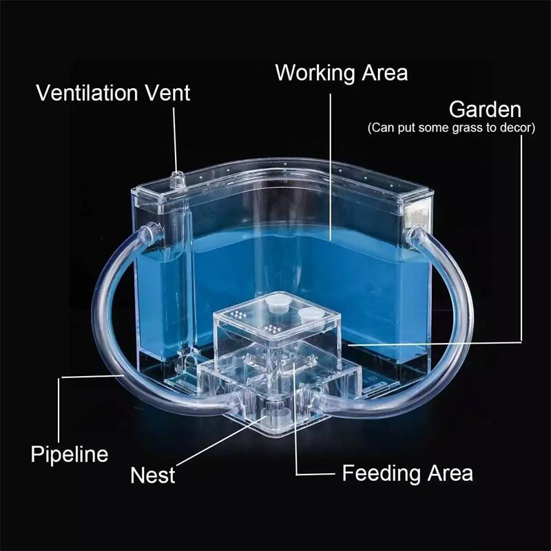 Муравейник Имитация Экосистемы Ферма Замок Соединительная Труба Муравейник Место обитания Мастерская Дом Комплект Обучающие Игрушки Изучение Поведения Насекомых