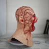 High Quality Latex Horror Infected Zombie Masks Realistic Unisex Halloween Props Adult Party Cosplay Costume Props