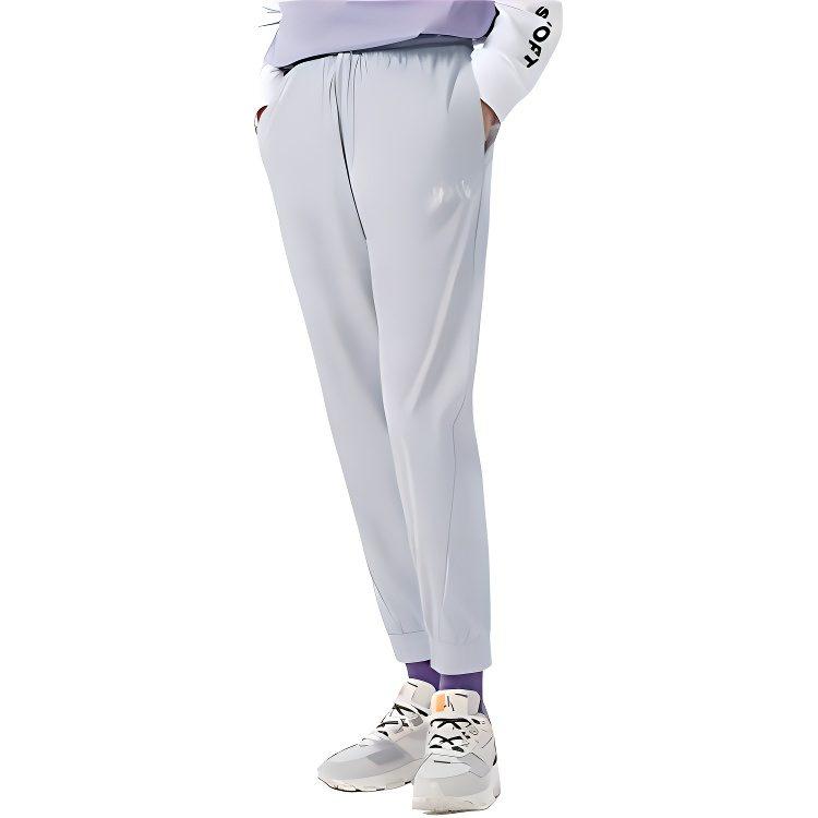 Спортивные брюки Li Ning BADFIVE мужские серый-синий AYKS363-3