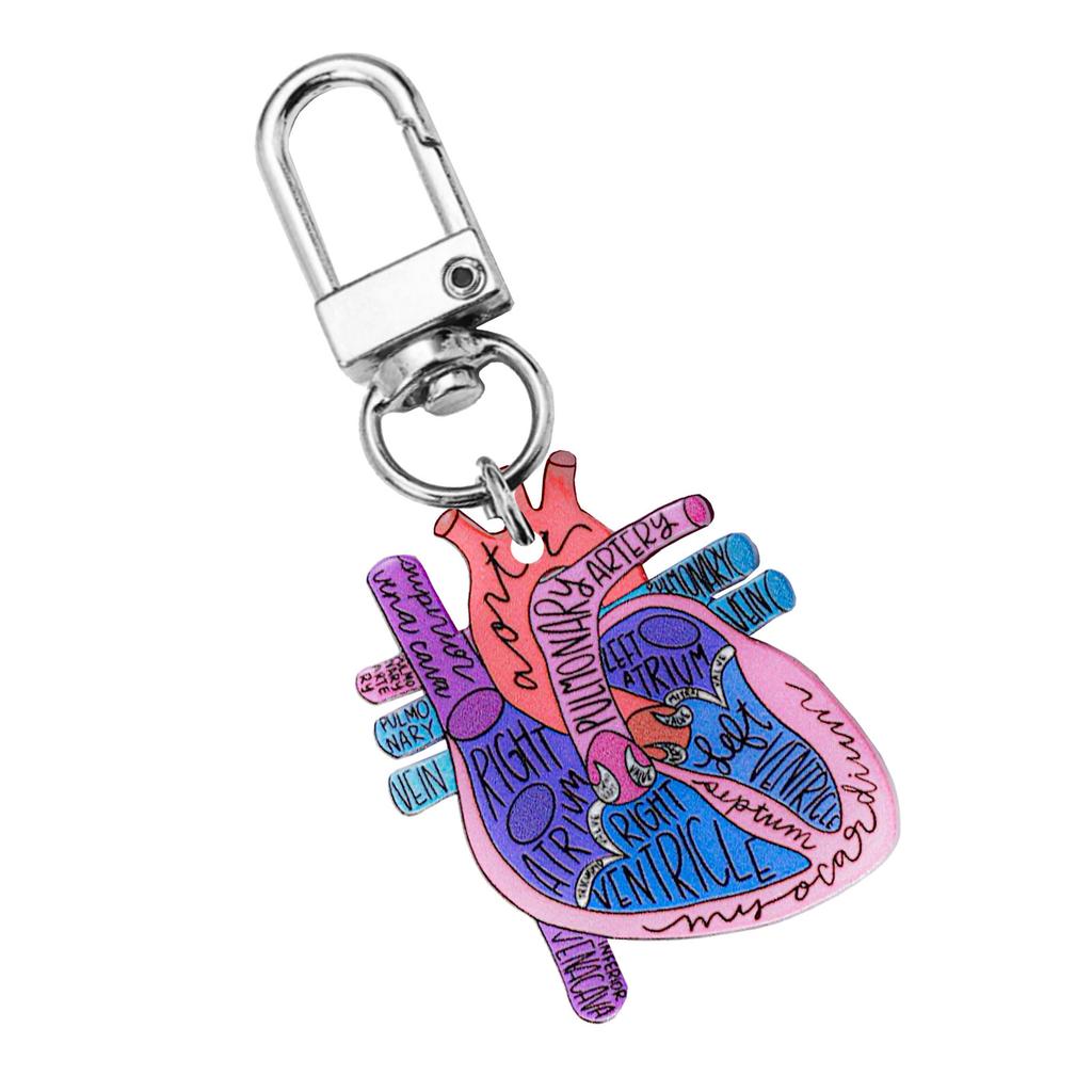 Human Heart Diagram Keychain Detailed Heart Keychain Accessory for Teaching Anatomy To Adults and Children