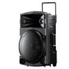 Newmine N521 Portable 12-inch Outdoor Karaoke Speaker with Dual Mics