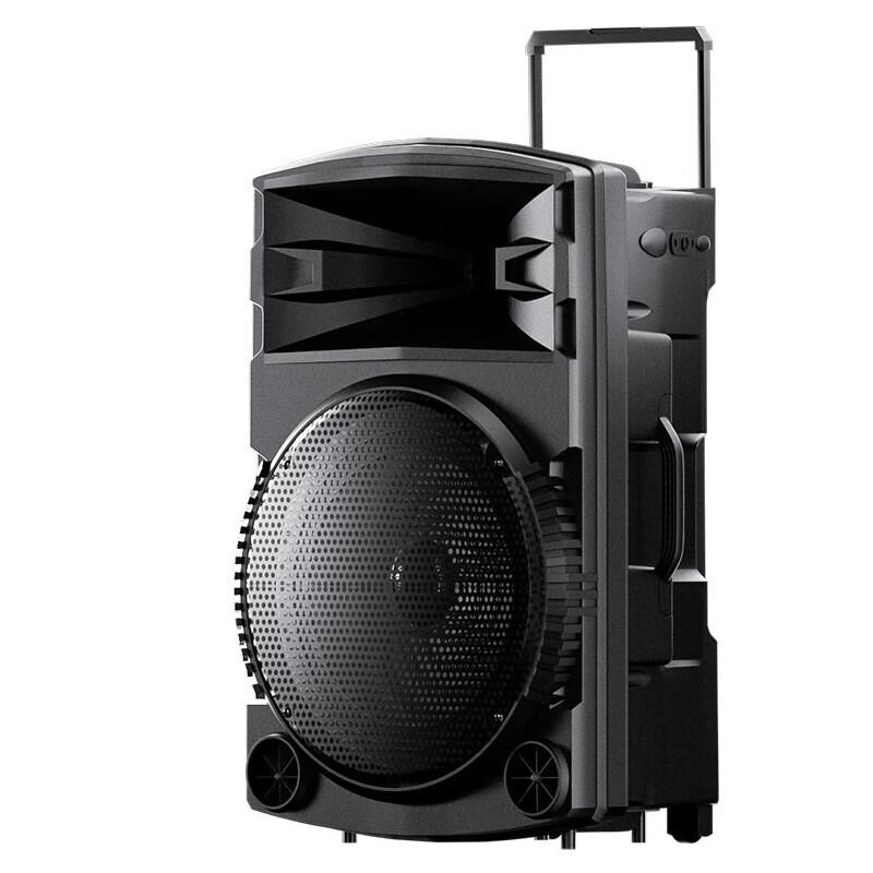 Newmine N521 Portable 12-inch Outdoor Karaoke Speaker with Dual Mics