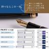 Sailor Fountain Pen Profit Standard Black Extra Fine 11-1219-120