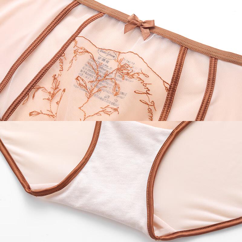 Women's Embroidered Mesh Mid-High Waist Briefs