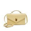 New Handwoven Small Square Bag Fashionable Women's Handbag Briefcase Large Capacity Shoulder Messenger Bag