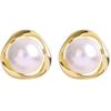 2023 Changliusu Pearl Fashion Fashion Women's Pendant Personalized Earring Gift